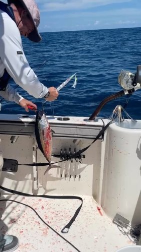 Video post from ejs_fishing_charters.