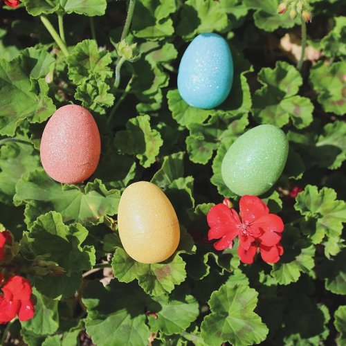 Carousel post from visittucson.