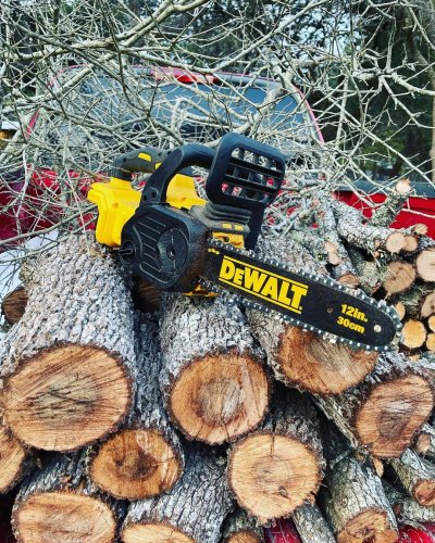 Photo post from dewalttough.