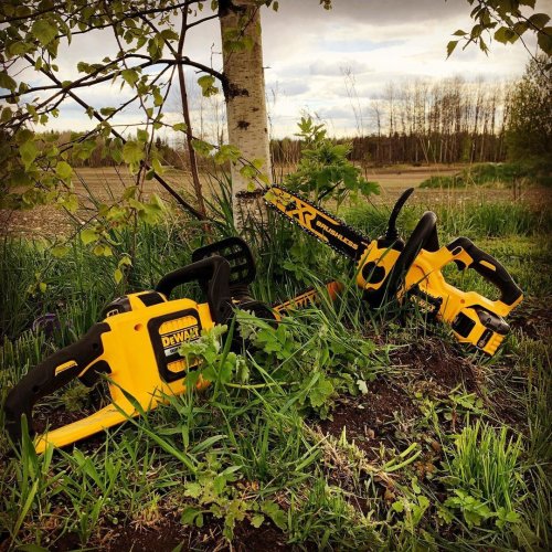 Photo post from dewalttough.