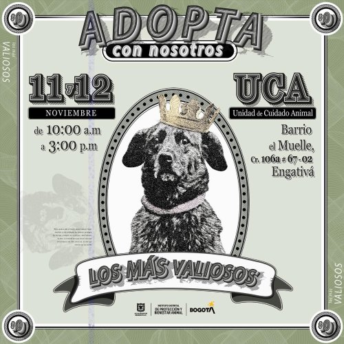 Cartel cuidado con el perro: Dogo argentino - Para mascotas