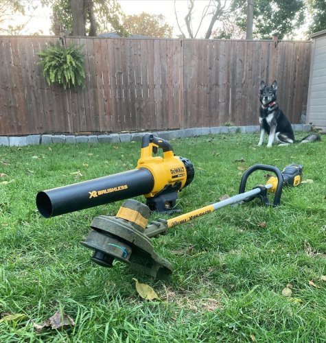 Photo post from dewalttough.