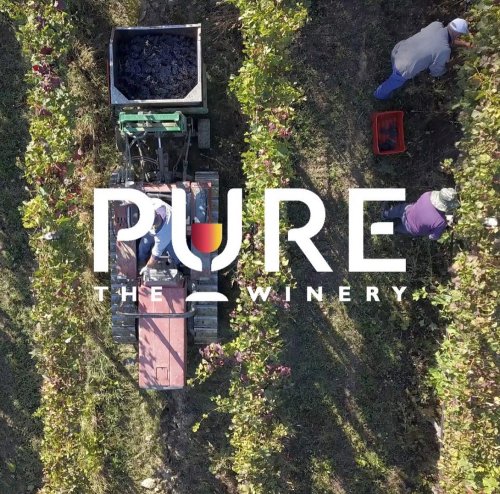 Photo post from purethewineryes.