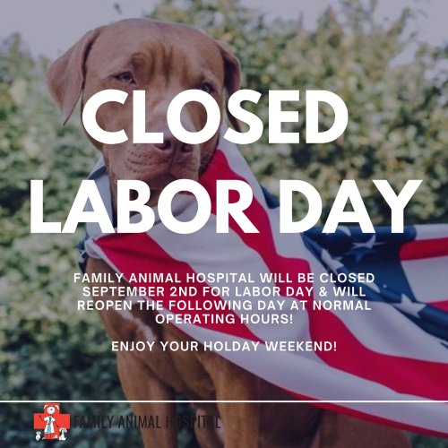 Photo post from familyanimalhospitalcm.