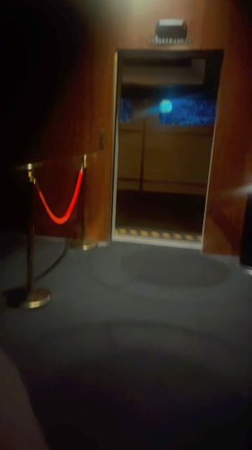 Video post from stephonabutterflies.