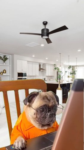 Video post from american_re_partners.