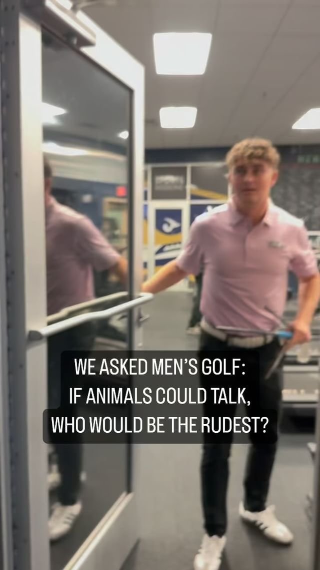 Video post from uscbsandsharks.