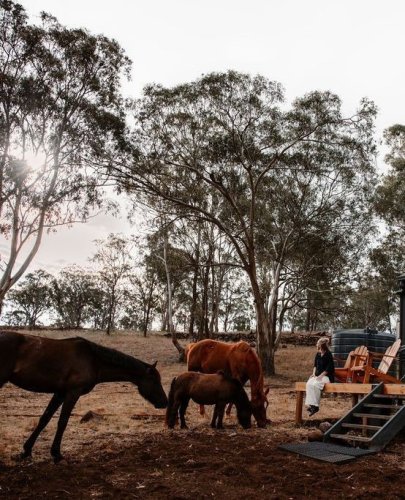Carousel post from in2thewild.aus.