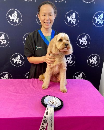 Carousel post from k9playtimedoggydaycare.