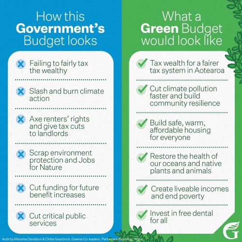 Photo post from nzgreenparty.