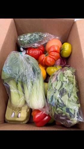 Video post from farmbox_arizona.