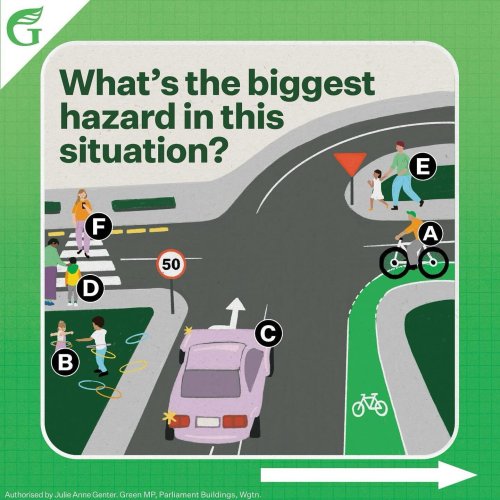 Carousel post from nzgreenparty.