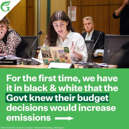 Carousel post from nzgreenparty.