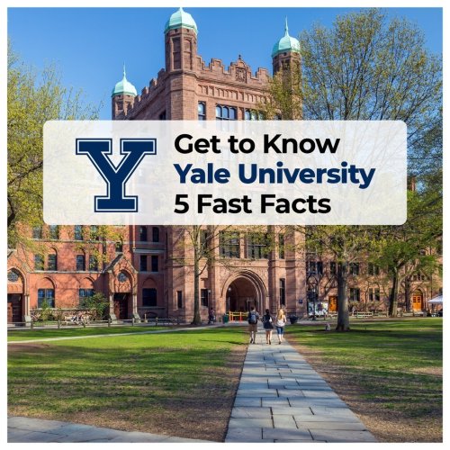 Carousel post from knovva_academy.