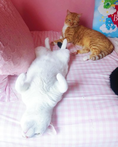 Photo post from margaritabloom.