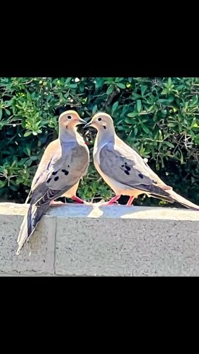 Video post from beyondsportinsta.