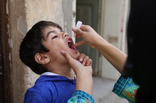 Photo post from pakfightspolio.