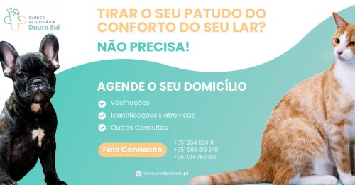Photo post from clinica_veterinaria_dourosul.