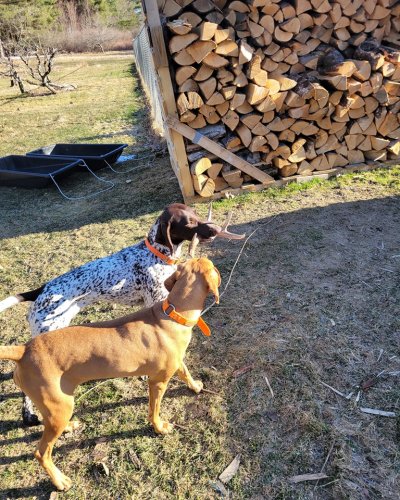 Photo post from reddogguideservice.
