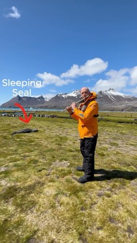 Video post from wouterkellerman.