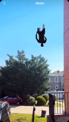 Video post from bombacizeydan.