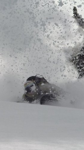 Video post from libtechnologies.