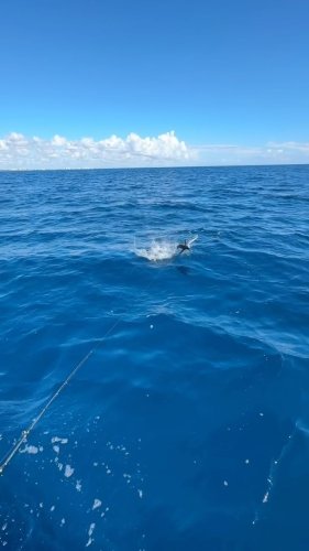 Video post from ejs_fishing_charters.