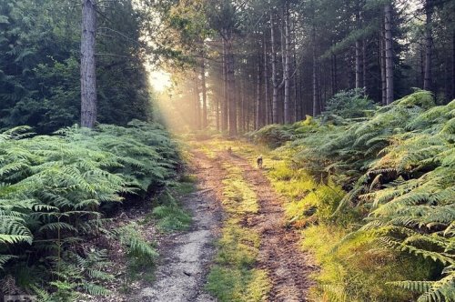 Carousel post from saltfilm_locations.