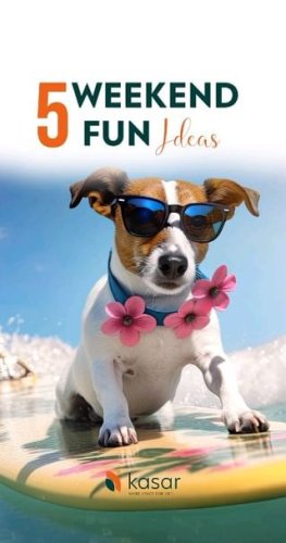 Video post from kasarstays.