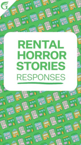 Video post from nzgreenparty.