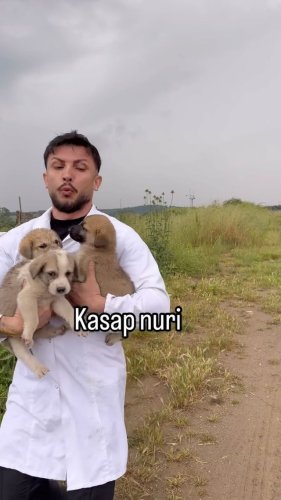 Video post from mehmetenliogluofficial.