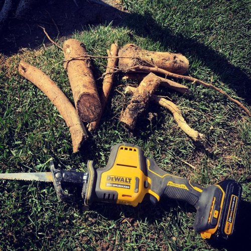 Photo post from dewalttough.