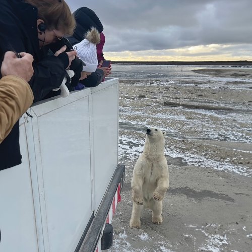 Carousel post from taucktravel.