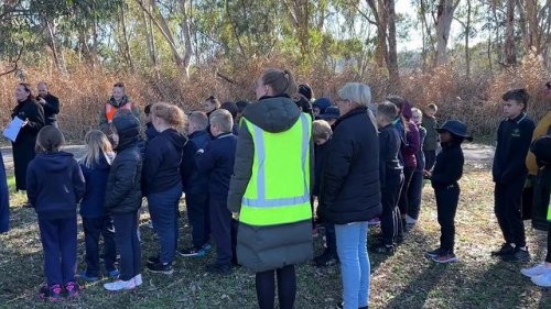 Video post from alburycity.