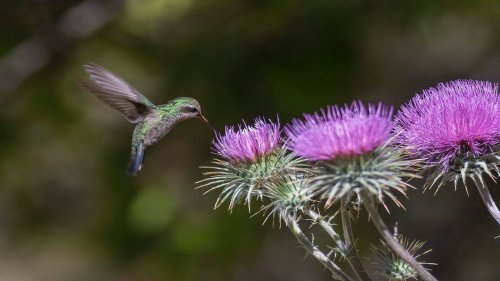 Photo post from visittucson.