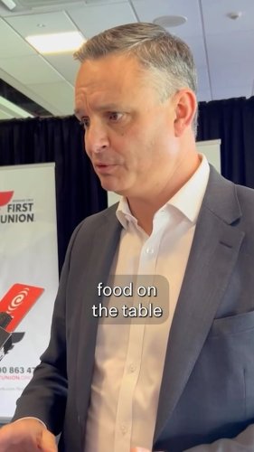 Video post from nzgreenparty.