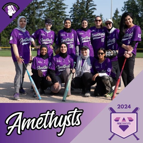 Carousel post from sisterhoodsoftball.