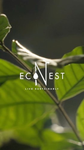 Video post from econestph.