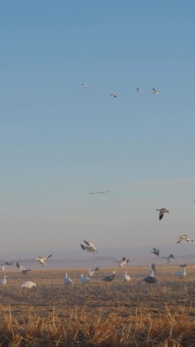 Video post from northernskiesoutfitters.