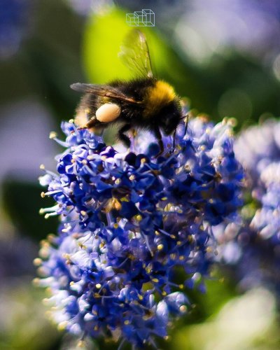 Photo post from glasshouseretreat.