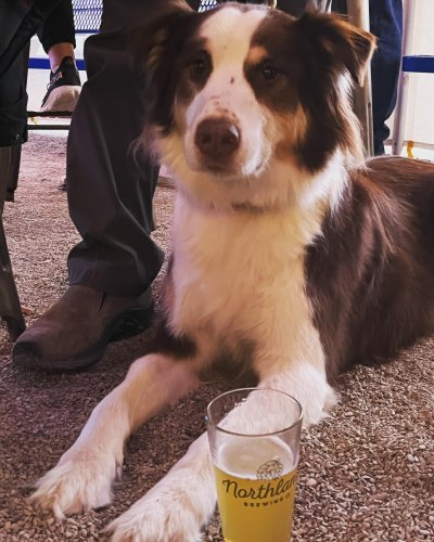 Photo post from northlandbrew.