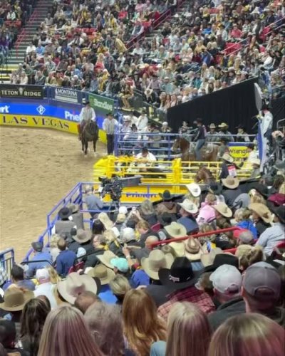 Video post from reddirthatco.