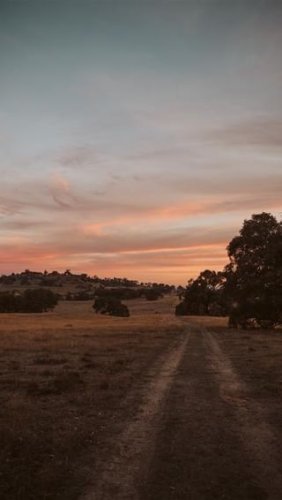 Video post from in2thewild.aus.