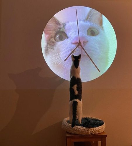 壁掛け時計 INS風 しっぽ振る猫 猫 芸術 時計 寝室用 リビング