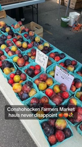 Video post from american_re_partners.