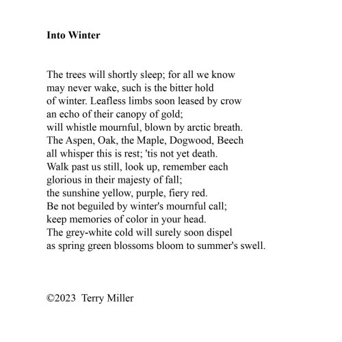 Photo post from terrymillerartist.