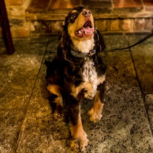 Photo post from themoathouse.