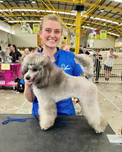 Carousel post from k9playtimedoggydaycare.