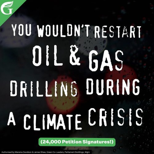 Photo post from nzgreenparty.