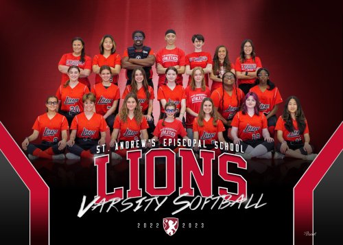 Photo post from saeslions.